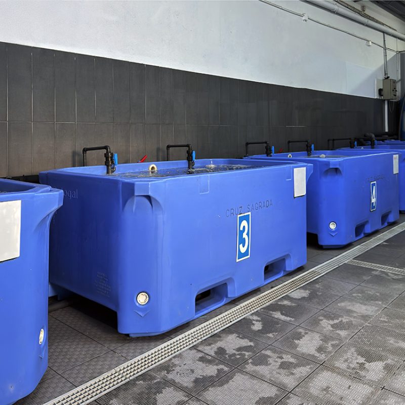 Semana Vitoriosa - Instalações 1