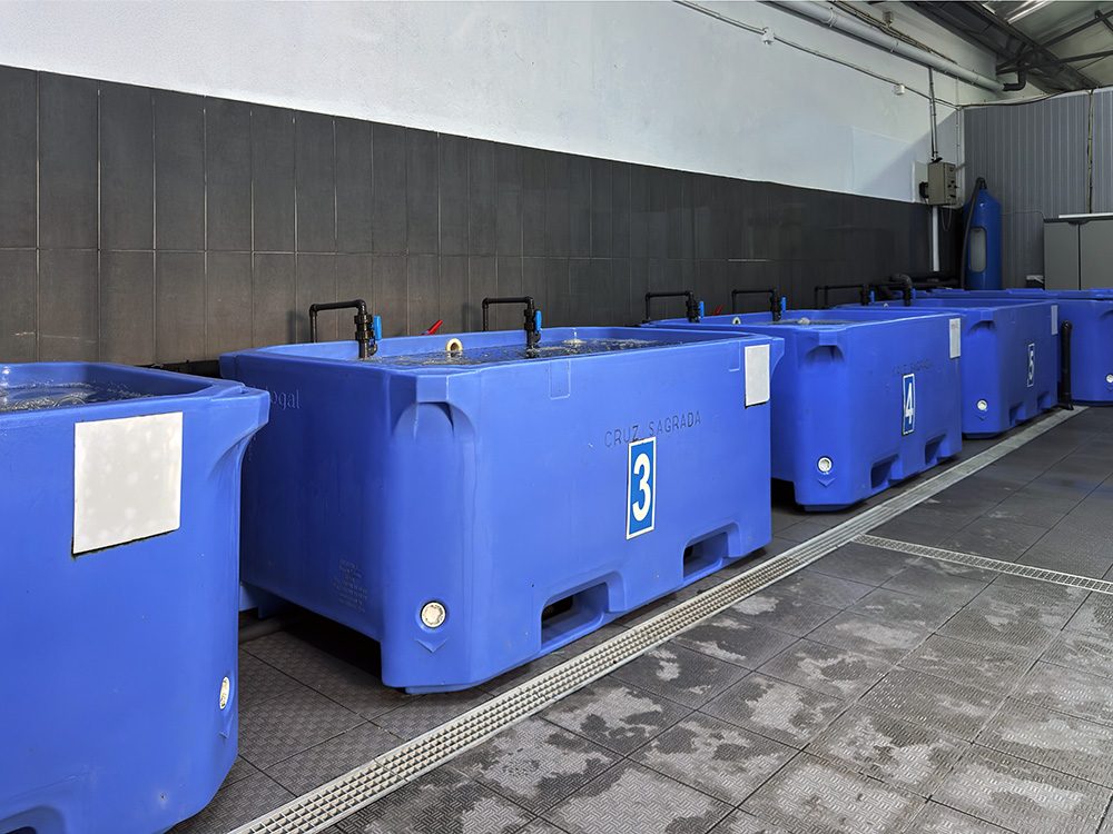 Semana Vitoriosa - Instalações 1